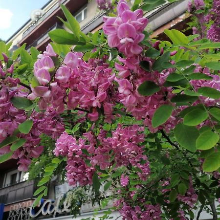 华沙Pulawska 53公寓 外观 照片