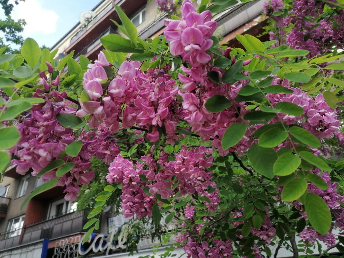 华沙Pulawska 53公寓 外观 照片